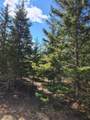 46.6 Acres +/- Vacant Land Us-131 - Photo 1
