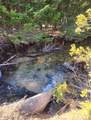 46.6 Acres +/- Vacant Land Us-131 - Photo 4