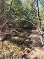 46.6 Acres +/- Vacant Land Us-131 - Photo 5