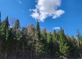 46.6 Acres +/- Vacant Land Us-131 - Photo 6
