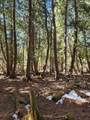 46.6 Acres +/- Vacant Land Us-131 - Photo 7