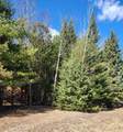 46.6 Acres +/- Vacant Land Us-131 - Photo 8