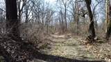 12100 Woodland Trail - Photo 11