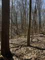 12100 Woodland Trail - Photo 34