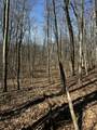 12100 Woodland Trail - Photo 4