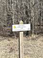 VL 192nd Avenue - Photo 22