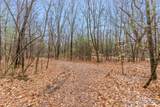 16351 Black Lake Cove - Photo 11