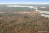 16351 Black Lake Cove - Photo 19