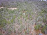 V/L Shady Grove Drive - Photo 13