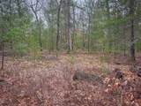 V/L Shady Grove Drive - Photo 6