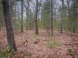V/L Shady Grove Drive - Photo 7
