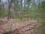 V/L Shady Grove Drive - Photo 8