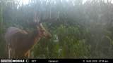 0 Stearns Road - Photo 14