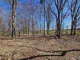 V/L Waterwheel Road - Photo 14