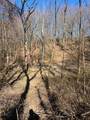 Parcel A County Line Road - Photo 11