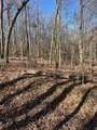 Parcel A County Line Road - Photo 12