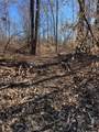 Parcel A County Line Road - Photo 14