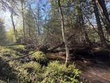 V/L 60A Walker Road - Photo 17