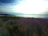 00 Maxey Road - Photo 13