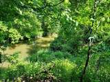 32538 Woodbrook Drive - Photo 48