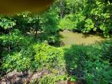 32538 Woodbrook Drive - Photo 49