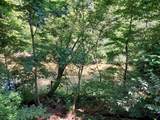 32538 Woodbrook Drive - Photo 50