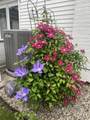 46860 Shelby Road - Photo 36