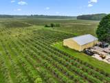 2031 Lynch Rd Road - Photo 3