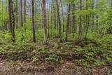 V/L East Pomeroy Springs Rd - Photo 12