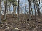 5950 Lake George Road Road - Photo 8