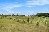 56278 County Road 365 - Photo 10