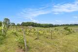 56278 County Road 365 - Photo 11