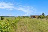 56278 County Road 365 - Photo 3