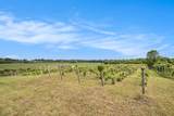 56278 County Road 365 - Photo 6