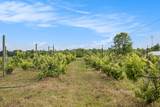 56278 County Road 365 - Photo 7