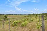 56278 County Road 365 - Photo 8