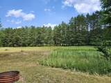 6389 Woods Trail Road - Photo 10