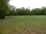 15252 27 Mile Road - Photo 10