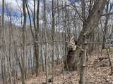 503 Shore Drive - Photo 7