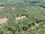 7.75 acres Scout Road - Photo 4