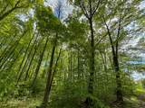 V/L Deer Lake Road - Photo 7