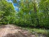 V/L Deer Lake Road - Photo 9