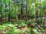 4756 Ridge Road - Photo 3