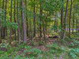 9385 Clubhouse Drive - Photo 4