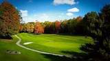 9385 Clubhouse Drive - Photo 8
