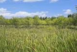 V/L 38A Maloney Road - Photo 22