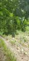  Warren Woods Road - Photo 10