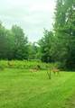  Warren Woods Road - Photo 12