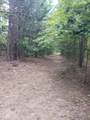 12323 Lincoln Farms Drive - Photo 10