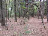 12323 Lincoln Farms Drive - Photo 8